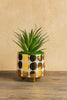 "Artificial Succulent Plant in Gold Polka Dot Ceramic Pot – Modern Home Décor Accent"