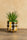 "Artificial Succulent Plant in Gold Polka Dot Ceramic Pot – Modern Home Décor Accent"